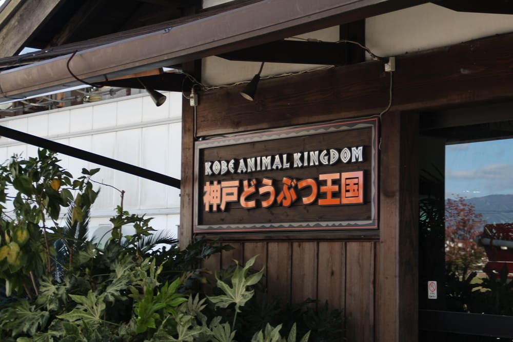 神戸どうぶつ王国