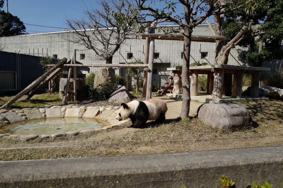 神戸どうぶつ王国
